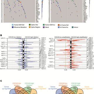 Integration Of Epigenetic Change And Gene Expression Between CDCA5 High