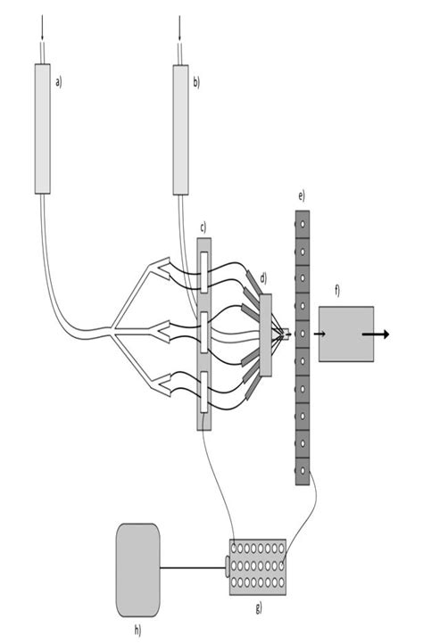 Systematic sketch of the olfactometer shown above. a) Variable area... | Download Scientific Diagram