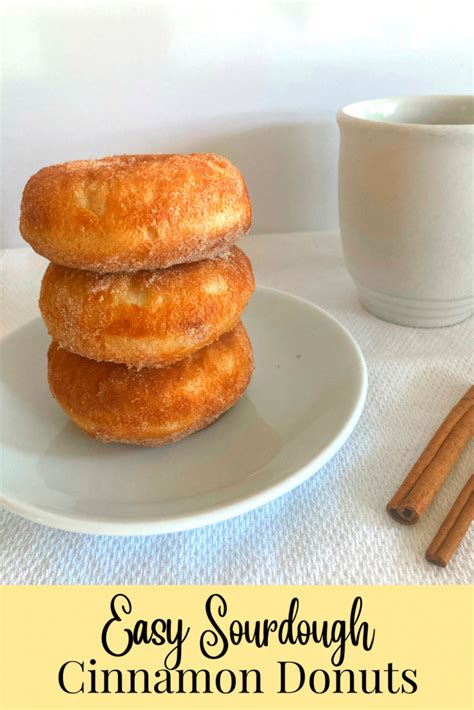 Easy Sourdough Cinnamon Donuts Old Fashioned Inspiration