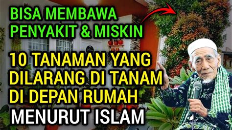 HATI HATI 10 Tanaman Ini Dilarang Ditanam Didepan Rumah Menurut