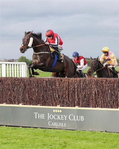 Nells Son Secures Victory over fences at Carlisle - Nicky Richards Racing