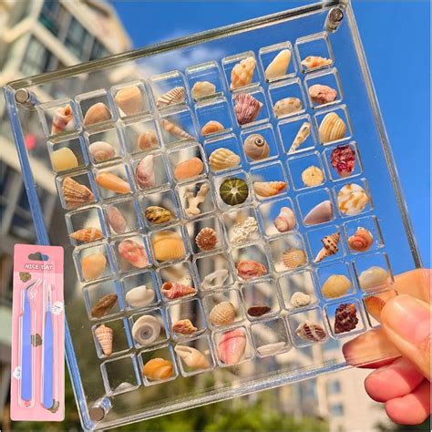 Amazon Acrylic Magnetic Seashell Display Box Grids