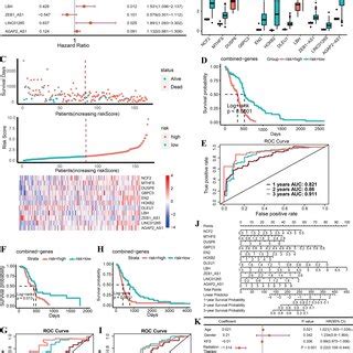 Construction And Evaluation Of The Prognostic Risk Model For Gbm A Hr