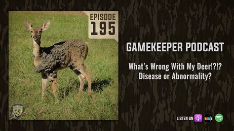 Ep195 Whats Wrong With My Deer Disease Or Abnormality Mossy Oak Gamekeeper