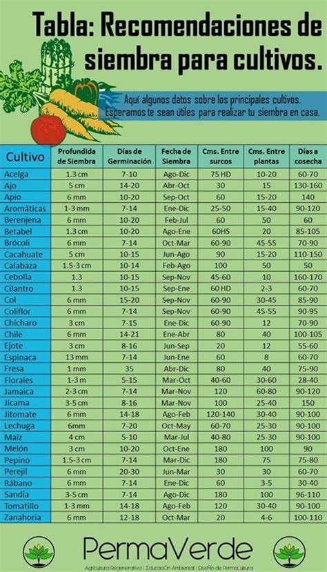 Recomendaciones De Siembra Para Cultivo Cultivo De Hortalizas