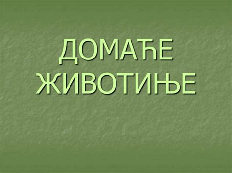 domace-zivotinje1.pptxmmmmmmmmmmmmmmmmmmmmmmmmmmmmmm | PPT