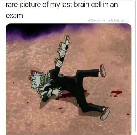 My Hero Academia°memes My Hero Academia Memes Funny Anime Pics