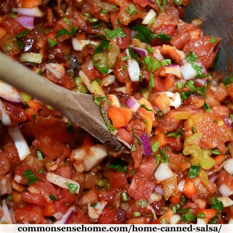 Home Canned Salsa Recipe Plus 10 Tips For Canning Salsa Safely