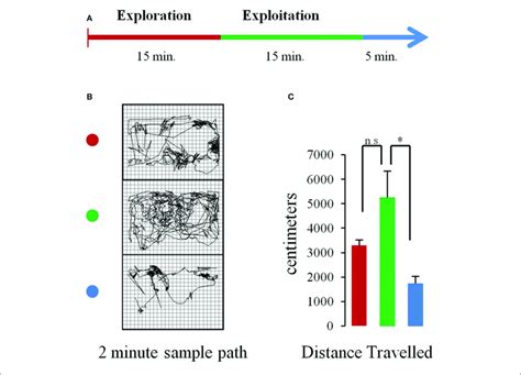 Task And Behavior A Schematic Of The Experimental Procedure Rats Download Scientific