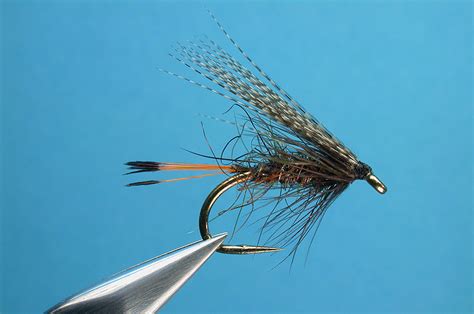 Sooty Olive By Hans Weilenmann Hatches Fly Tying Magazine