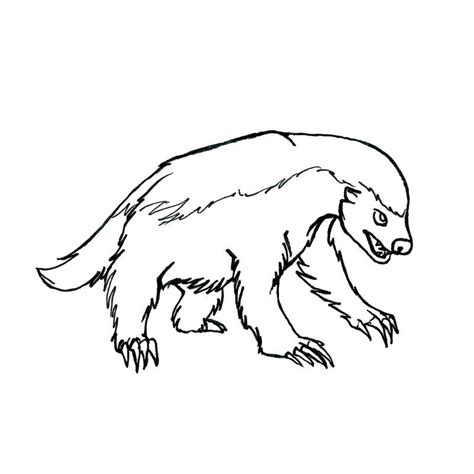 Honey badger lineart by Xiphosuras on DeviantArt