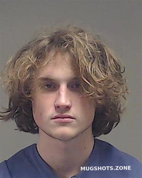 Zdorov Nicholas Hans Collin County Mugshots Zone