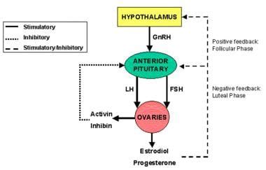 Hpo Axis Prolactin