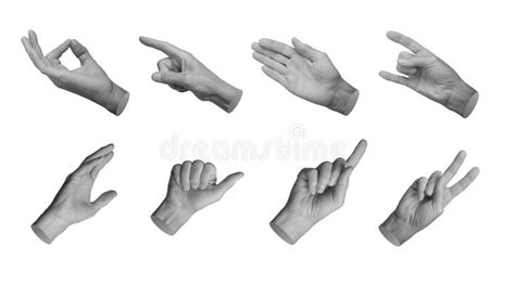 Different Gestures Set Zen Pointing Finger Palm Horns Reaching Out