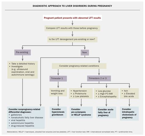 Abnormal Liver Function Test Results In Pregnancy Causes And Management Medicine Today