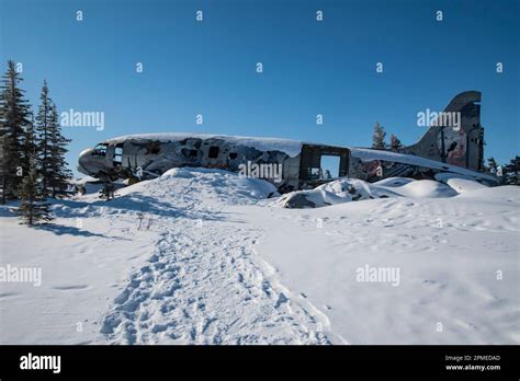 Emergency Transmission Mural On Miss Piggy Crashed Aircraft In