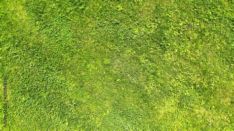 Aerial Green Grass Texture Background Top View Stock Photo Adobe Stock