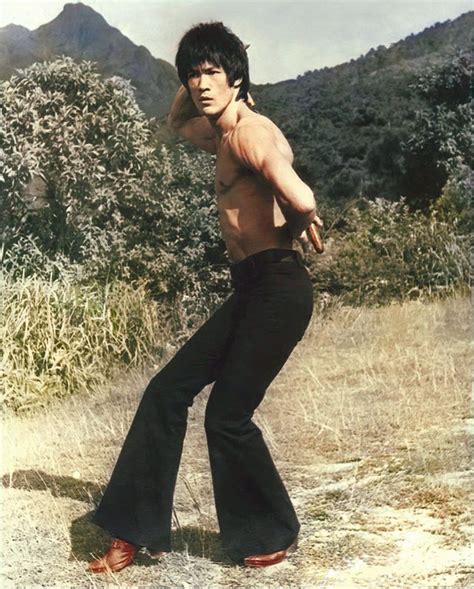 Bruce Lee The Ultimate Martial Artist