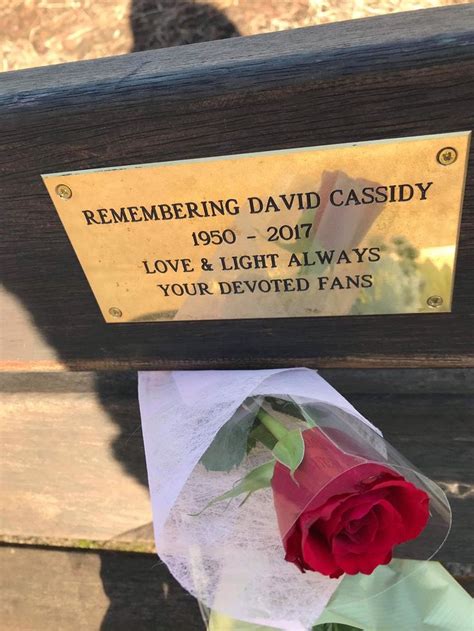 Pin By Dcgbteam On David Cassidy Phoenix Theatre London Memorial Plaque David Cassidy Love