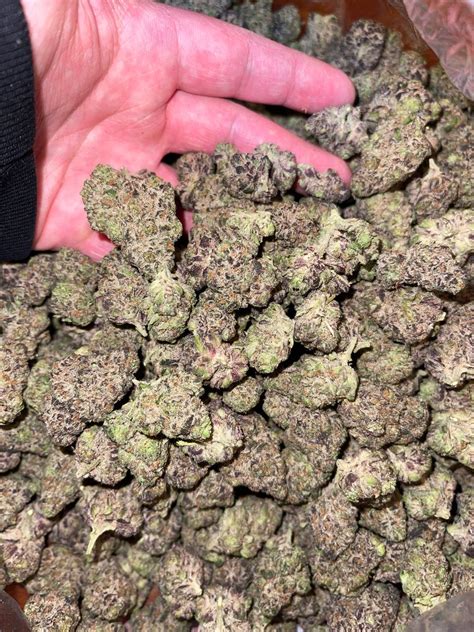 Cadillac Rainbow Strain 1 Oz Cadillac Rainbow Weed Strain
