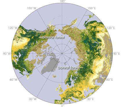 boreal_forest_map