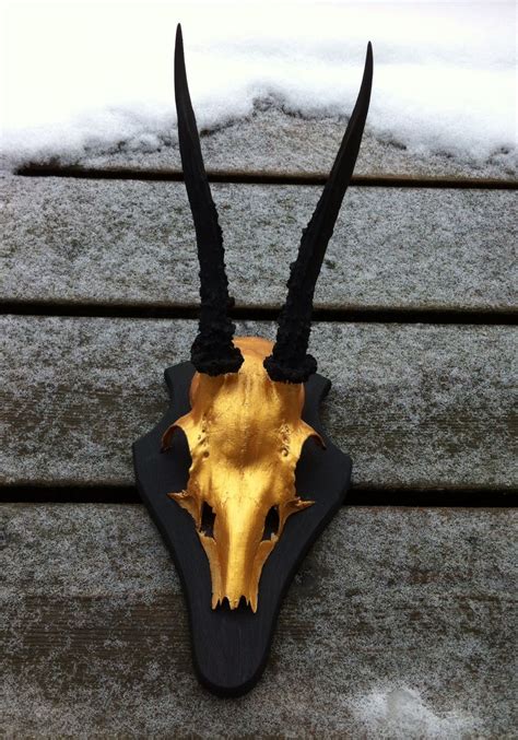 Pin By Deb Jones On Crafty Stuff Bone Art Skull Antlers