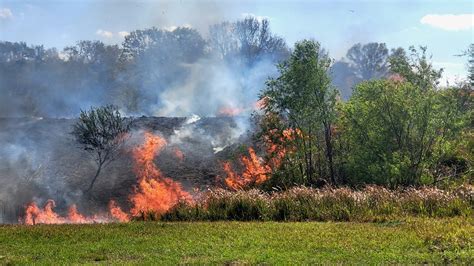 Hillsborough Firefighters Battle 50 Acre Brush Fire At Hcso Training