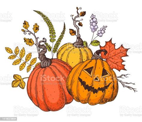 Halloween Pumpkin Illustration Hand Drawn Vector Illustration Jack O Lantern Autumn Bouquet