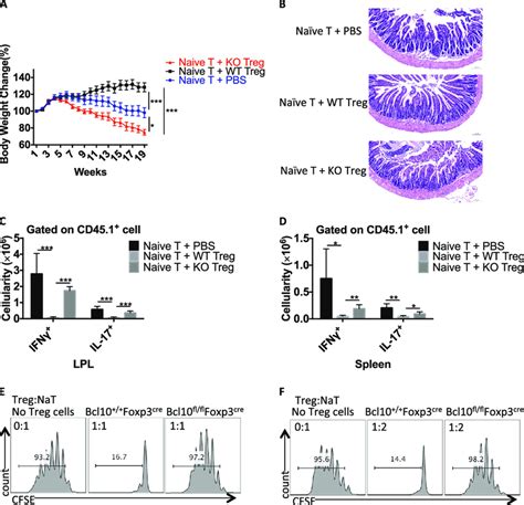 Bcl Is Required For The Suppressive Function Of Treg Cells Cd