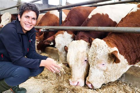 Bayerische Tierschutzleitlinie für Haltung von Mastrindern und