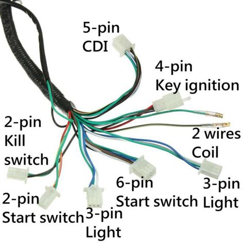 200cc Chinese Quad Wiring Diagram Wiring Diagram