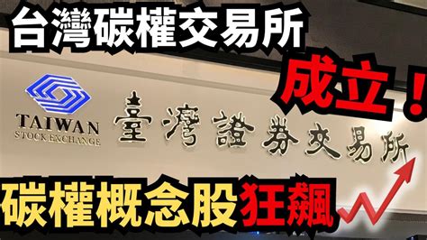 「台灣碳權交易所」成立！激勵上市造紙類股指數連日上攻，造紙股再度崛起！ Youtube