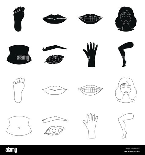 Vector Illustration Of Body And Part Logo Collection Of Body And