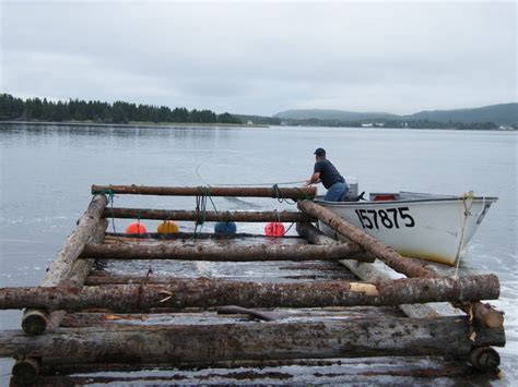 The Bellevue Guy - Bryan: The beginning of a wharf