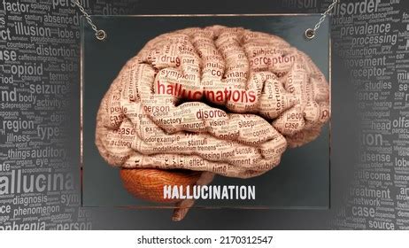 Hallucination Human Brain Dozens Important Terms Stock Illustration