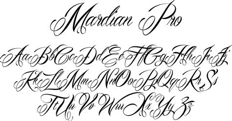 Fancy calligraphy font generator - profitpase