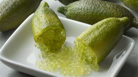 Australian Finger Lime Growing Guide – Tropical Gardening