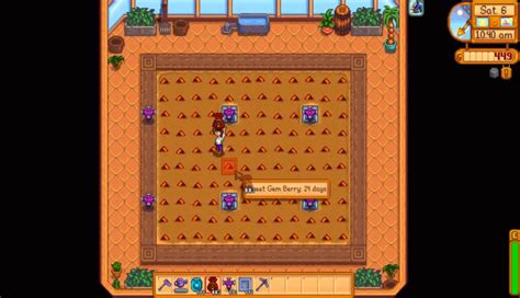 Stardew Valley Random Seed Phenomenon Guide [2023]