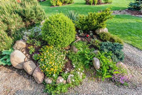 Best Rock Garden Plants For Sun Or Shade Silver Fox Gardens