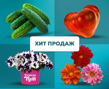 Купить семена овощей и цветов по каталогу с доставкой в Москве и почтой ...