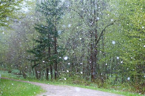 Granizo e chuva forte - Meteorologia Portugal