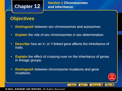 PPT Chapter Objectives Distinguish Between Sex Chromosomes And Autosomes Explain The Role