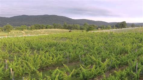 Philip Carter Winery In Virginia Wine Country Youtube