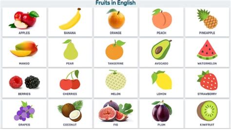 11 Sketsa Buah Buahan Yang Mudah Dan Simple Broonet