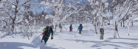 ツリーラン Appi Snow Mountain Resort