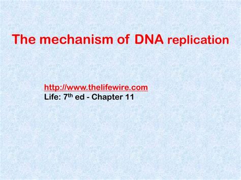 Ppt Dna Replication Powerpoint Presentation Id 6053651