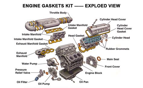 Amazon Eccpp Engine Head Gasket Set Fit Toyota Tacoma