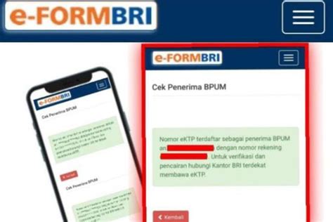 Akses Link Eform Bri Co Id Untuk Cek BPUM 2022 Online Lewat HP Pakai