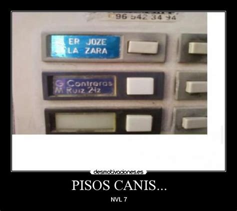 Pisos Canis Desmotivaciones