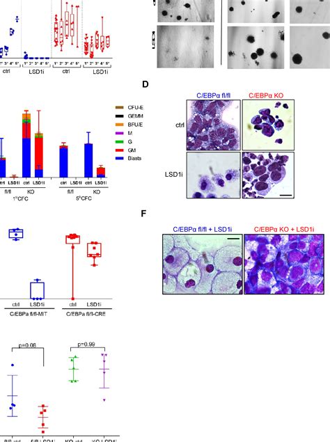 Pdf Lsd Inhibition Exerts Its Antileukemic Effect By Recommissioning